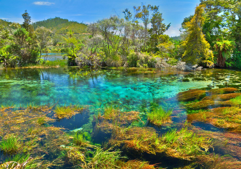 Fascinating features of New Zealand