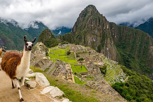 Virtual tourist